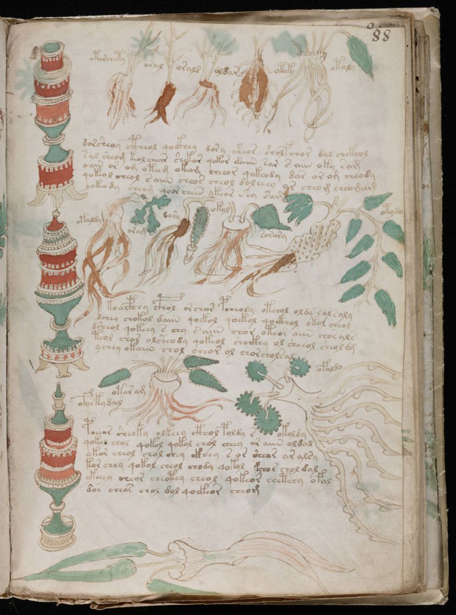 Voynich Manuscript (161).jpg Voynich Manuscript (161).jpg