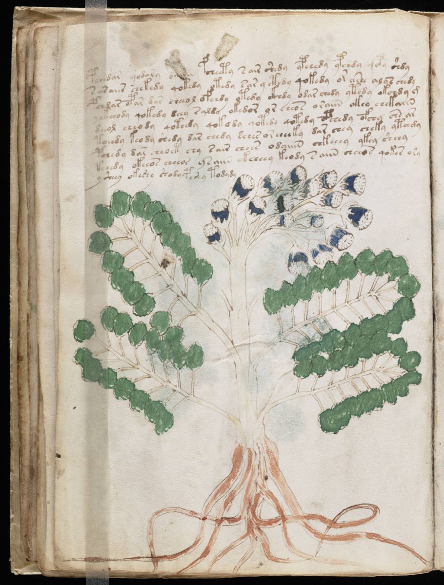 Voynich Manuscript (52).jpg Voynich Manuscript (52).jpg