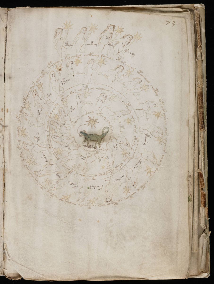 Voynich Manuscript (133).jpg Voynich Manuscript (133).jpg