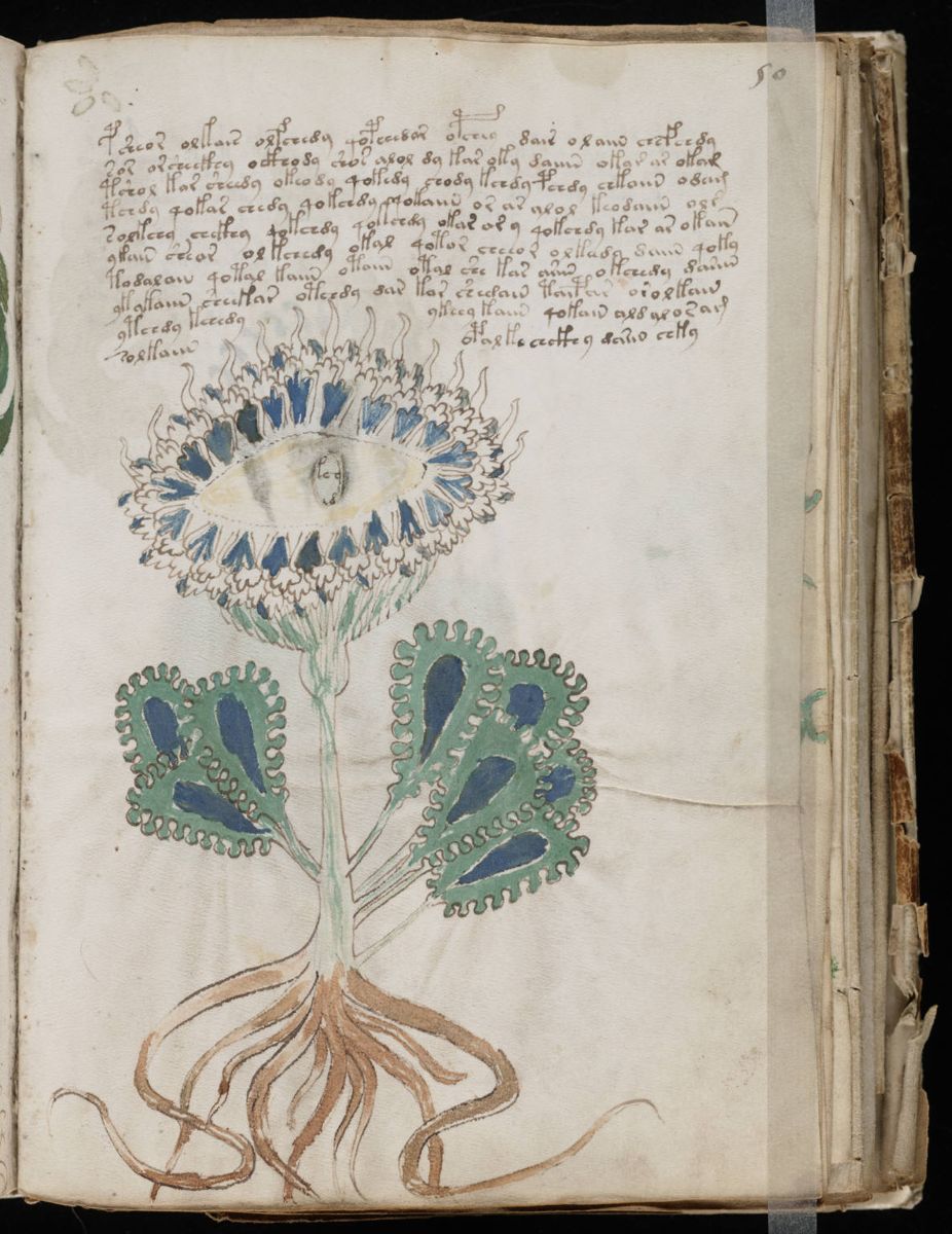 Voynich Manuscript (99).jpg Voynich Manuscript (99).jpg