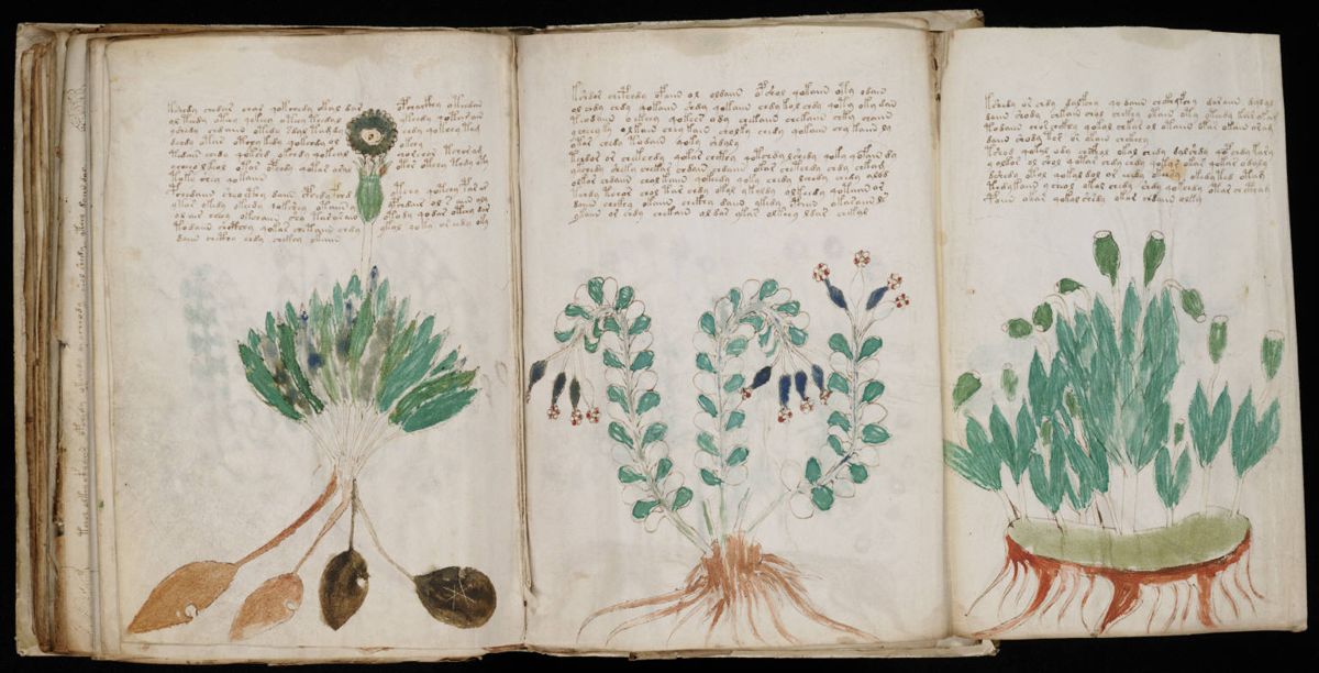 Voynich Manuscript (170).jpg Voynich Manuscript (170).jpg