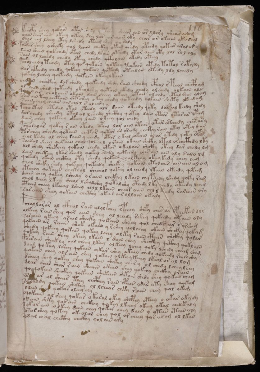 Voynich Manuscript (205).jpg Voynich Manuscript (205).jpg