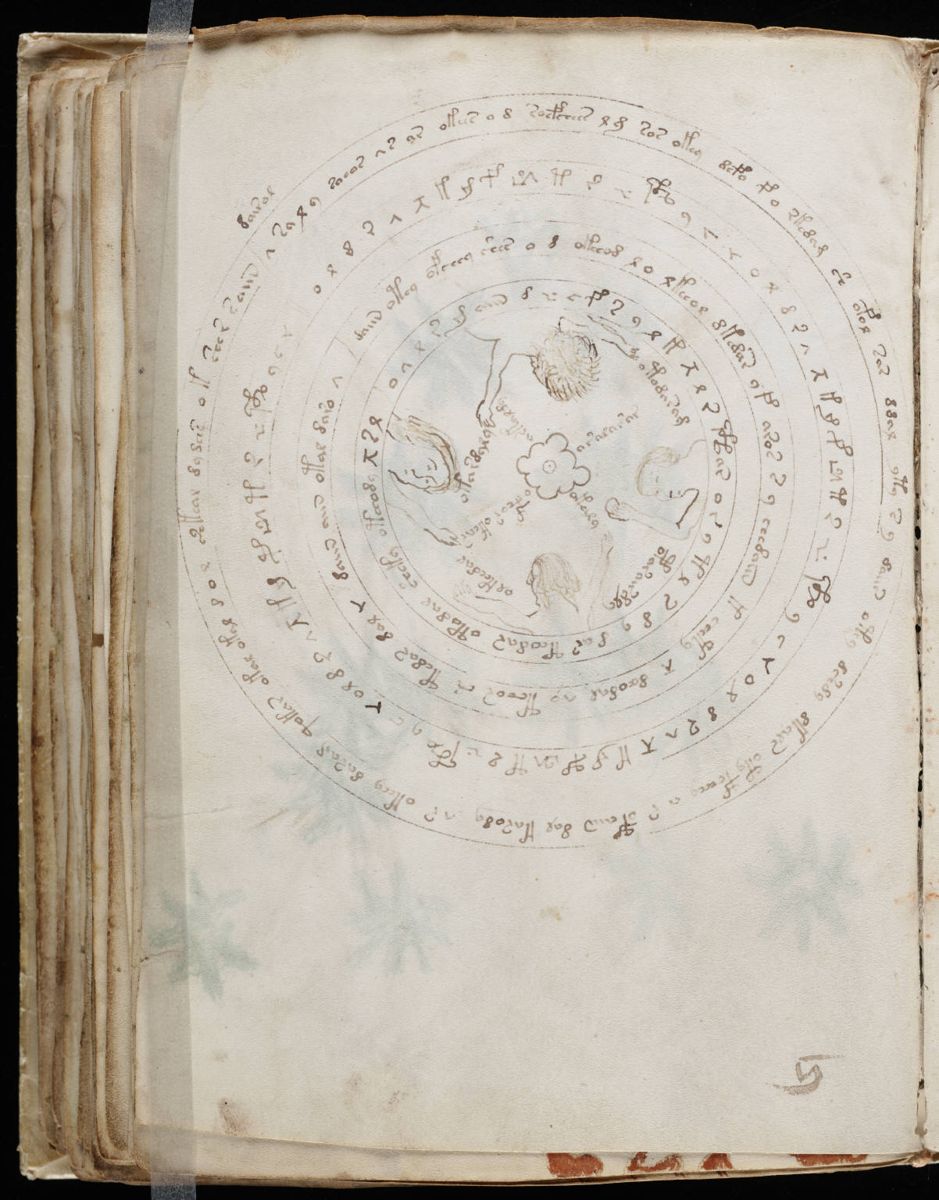 Voynich Manuscript (114).jpg Voynich Manuscript (114).jpg
