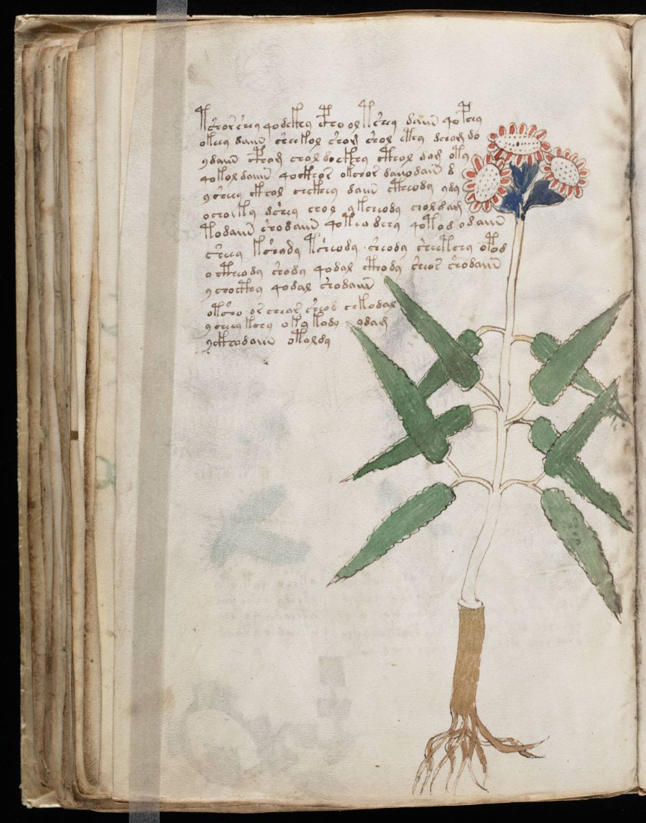 Voynich Manuscript (106).jpg Voynich Manuscript (106).jpg