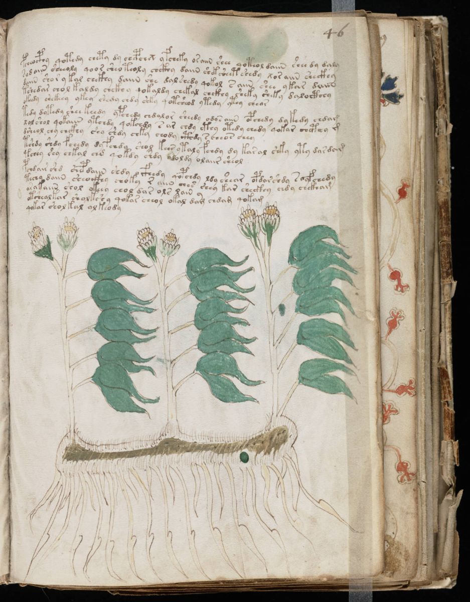 Voynich Manuscript (91).jpg Voynich Manuscript (91).jpg