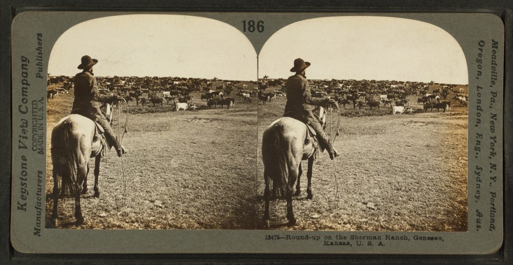Round-up on the Sherman ranch, Geneseo, Kansas, U.S.A, by Keystone View Company.png — Public domain / Keystone View Company -- Publisher Round-up on the Sherman ranch, Geneseo, Kansas, U.S.A, by Keystone View Company.png — Public domain / Keystone View Company -- Publisher