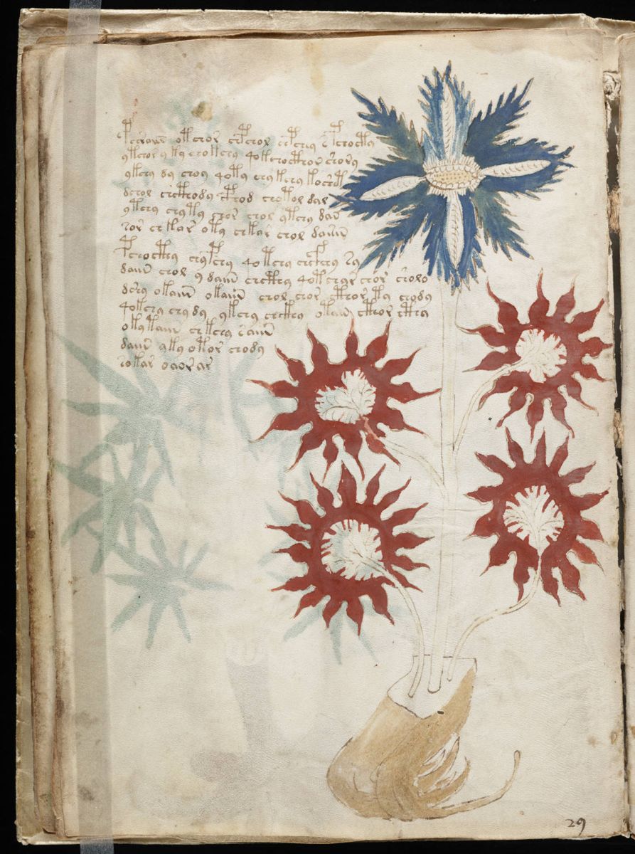 Voynich Manuscript (32).jpg Voynich Manuscript (32).jpg