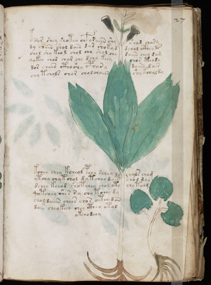 Voynich Manuscript (53).jpg Voynich Manuscript (53).jpg