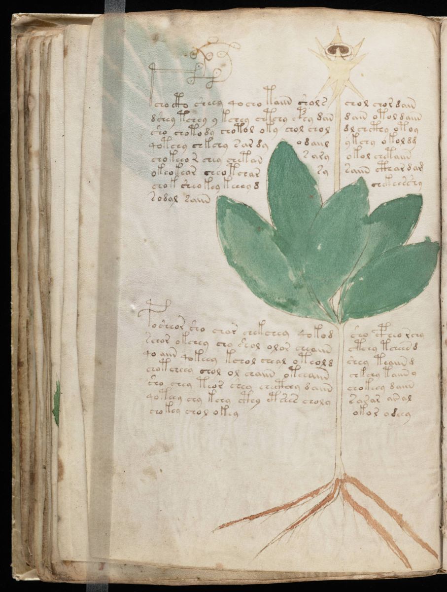 Voynich Manuscript (84).jpg Voynich Manuscript (84).jpg