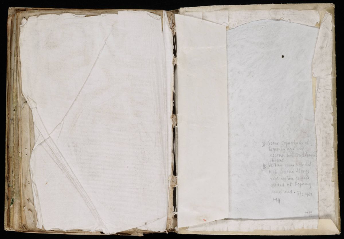 Voynich Manuscript (208).jpg Voynich Manuscript (208).jpg