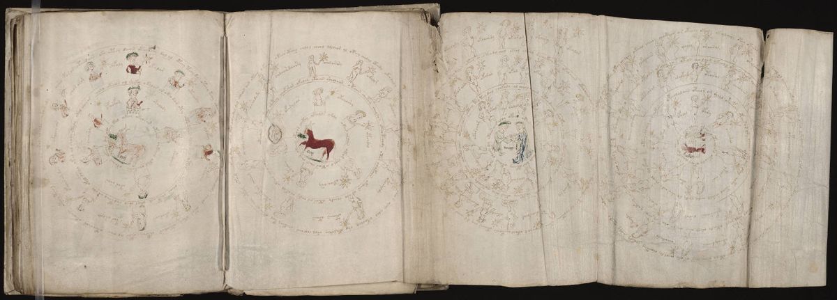 Voynich Manuscript (130).jpg Voynich Manuscript (130).jpg