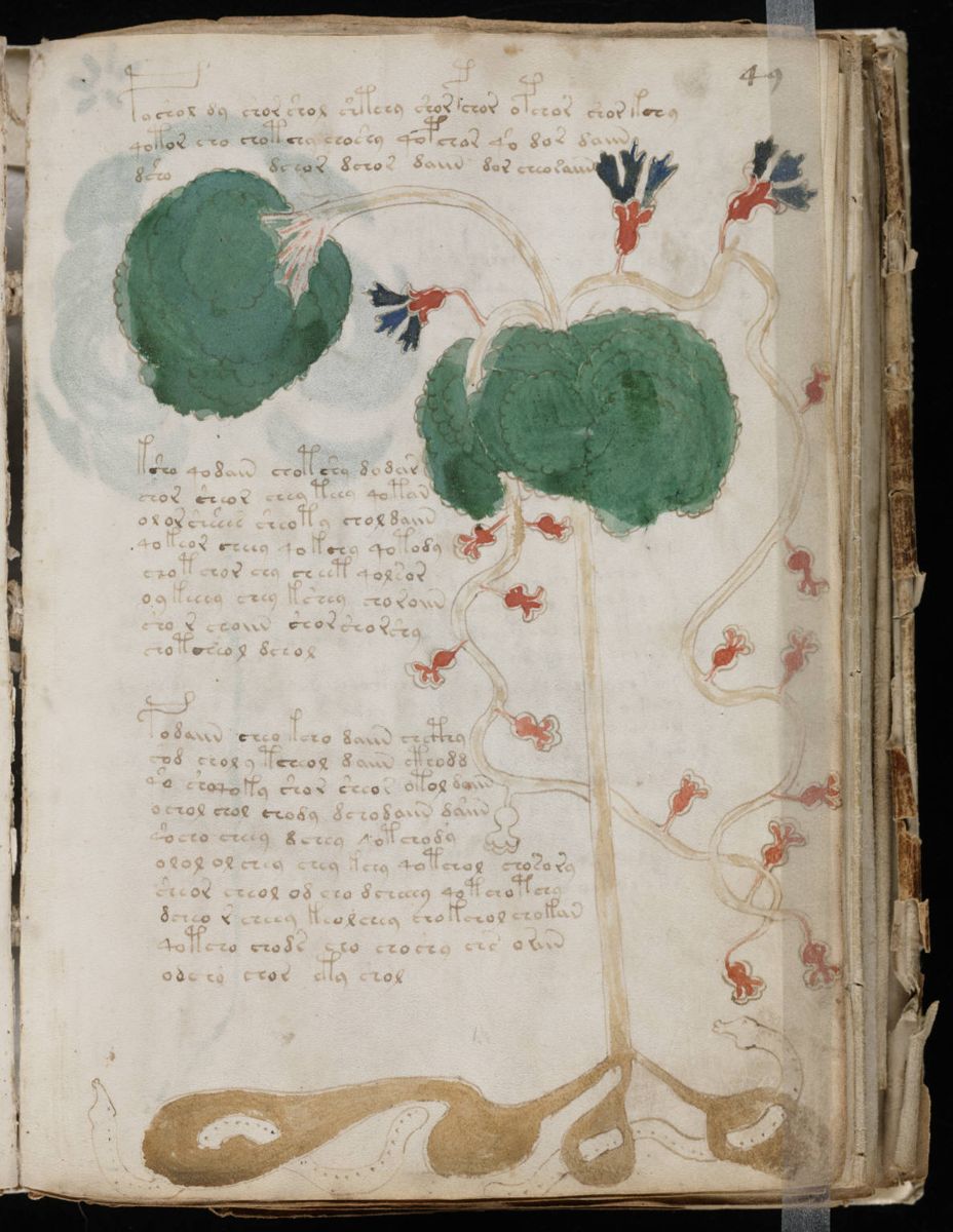 Voynich Manuscript (97).jpg Voynich Manuscript (97).jpg