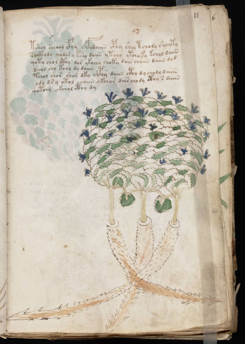 Voynich Manuscript (23).jpg Voynich Manuscript (23).jpg