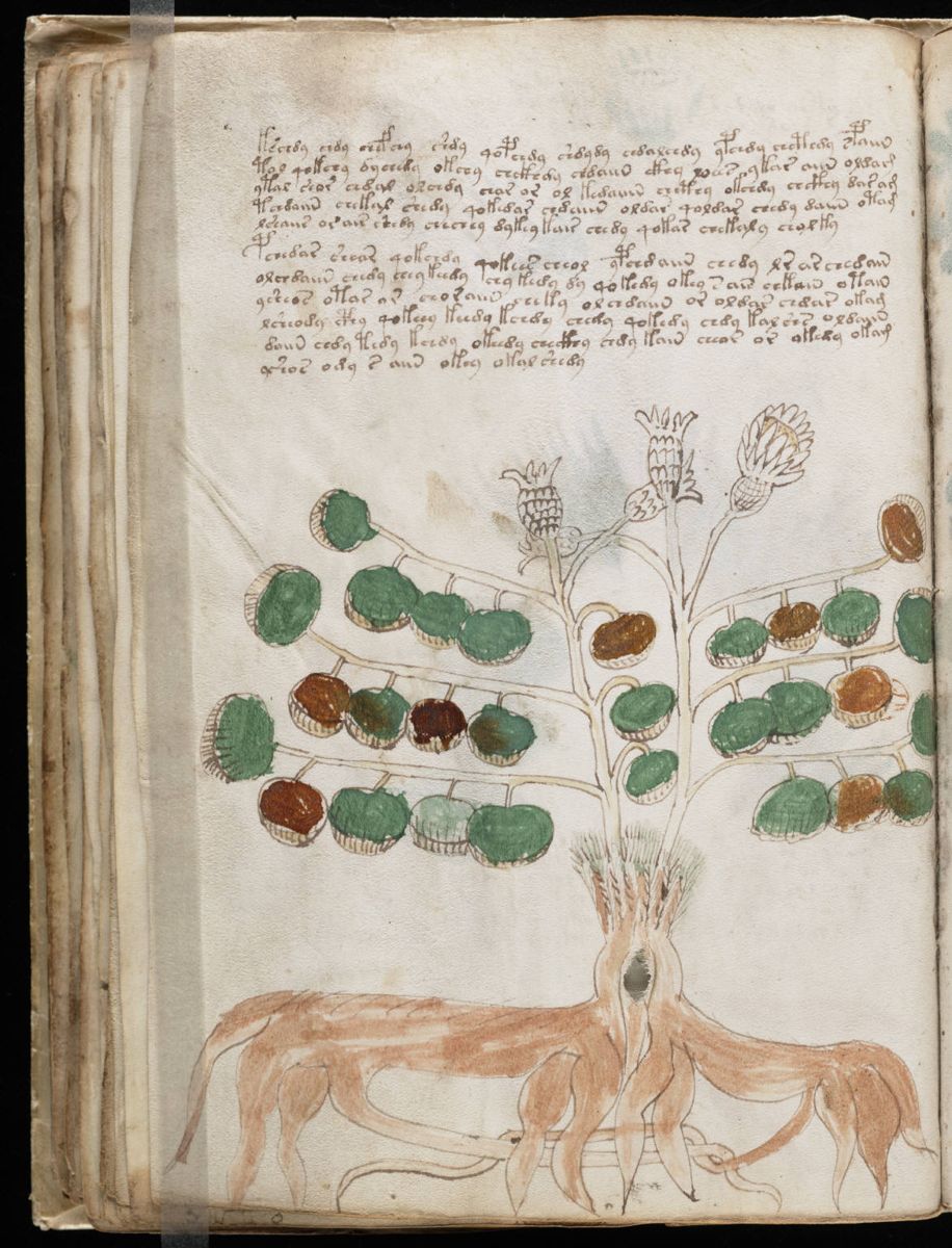 Voynich Manuscript (68).jpg Voynich Manuscript (68).jpg
