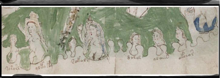 Voynich Manuscript (149)detalhe.jpg Voynich Manuscript (149)detalhe.jpg