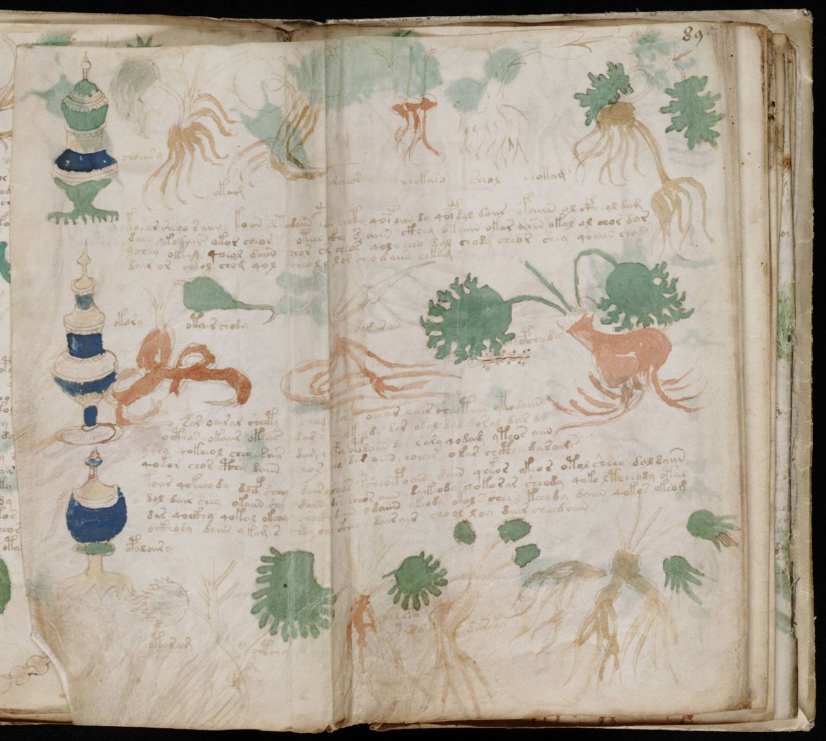 Voynich Manuscript (163).jpg Voynich Manuscript (163).jpg